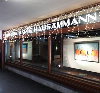 Galleria d'Arte Hausammann