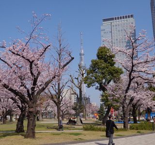 Kinshi Park