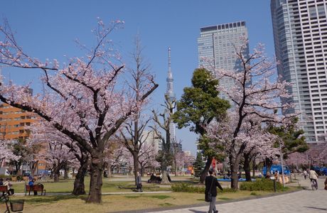 Kinshi Park