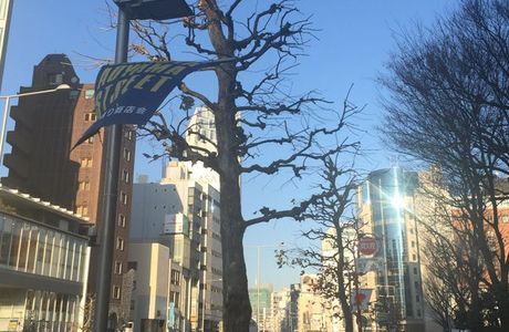Aoyama Street