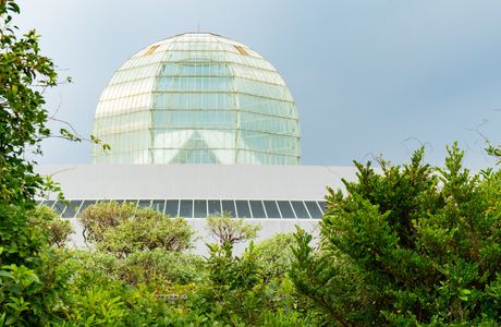 Tokyo Sea Life Park