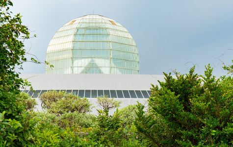 Tokyo Sea Life Park 1