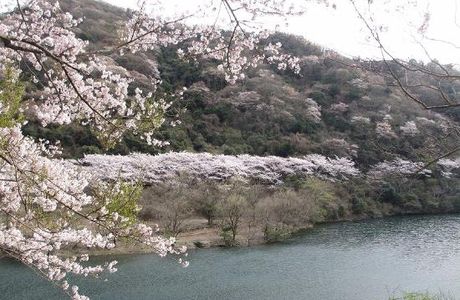 Yuzuruha Dam Park