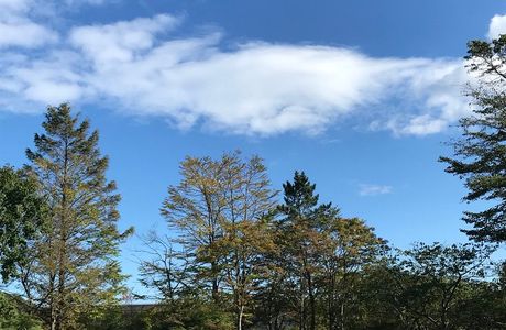 Kawakami Park