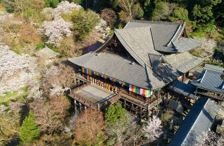 Hasedera Temple