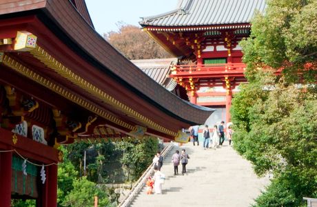 Tai Hachimangu