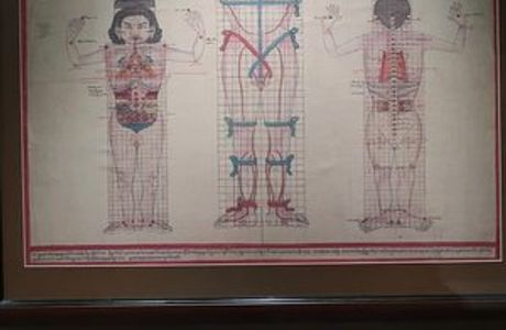 Museum of China Tibetan Medicine Culture
