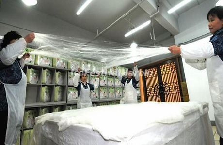 Shanghai Jiangnan Silk Museum