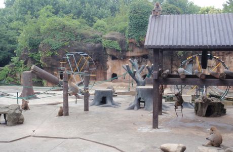 Shanghai Zoo (Shanghai Dongwu Yuan)