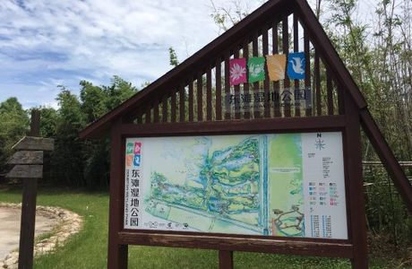 Chongming Dongtan Birds National Nature Reserve