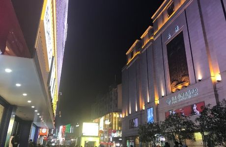ShangHaiShi ChongMingDao BaYi Lu BuXingJie