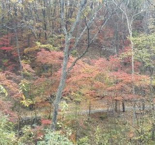 Baijiyao Forest Park