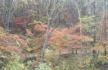 Baijiyao Forest Park