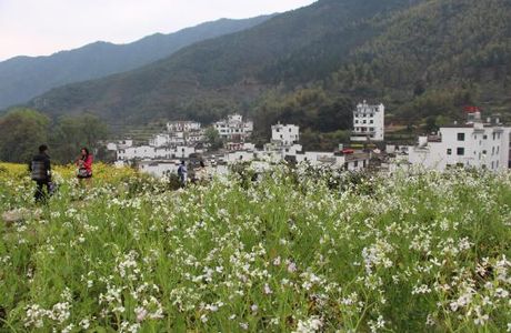 Dalikeng Scenic Resort