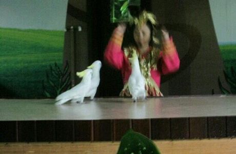 Lvshun Birds Park