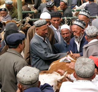 Kashgar Live Stock Market