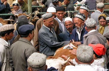 Kashgar Live Stock Market