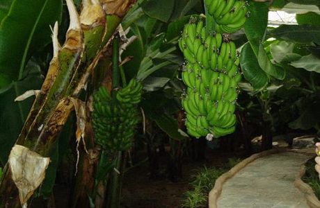 Junzi Ecological Park