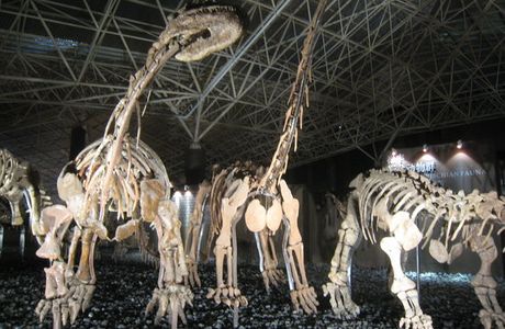 Lufeng Dinosaur Valley