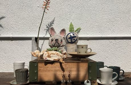 Fish Pottery Studio