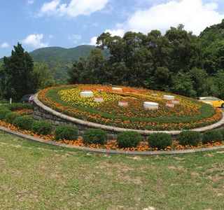 Yangming Mountain