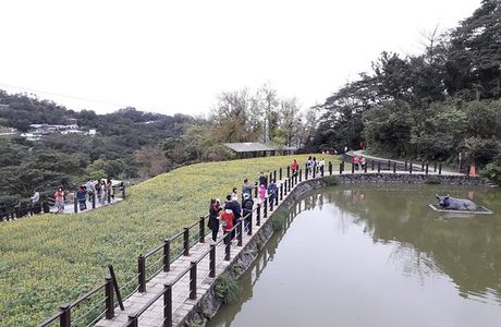 Zhangshu Trail