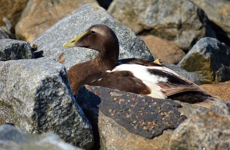 Wuweigang WildBird Reserve