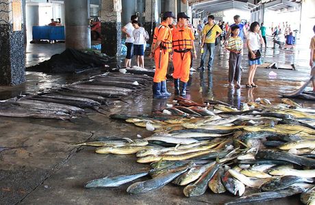 Xingang Fishing Market