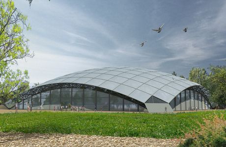 The Botanical Garden