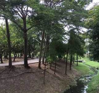 Bakeli Memorial Park