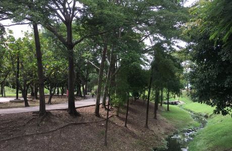 Bakeli Memorial Park