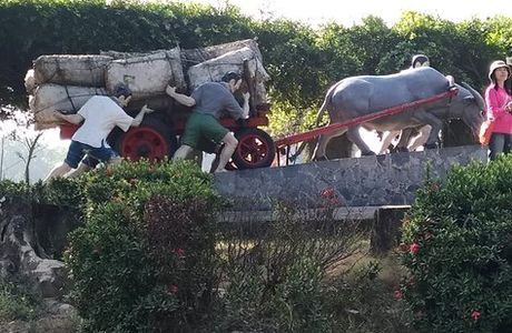 Zoumalai Farm