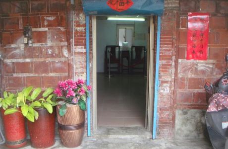 Cai Ying Wen Zong Tong Gu Cuo
