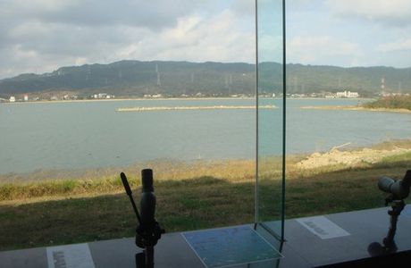 Longluan Lake Wetland