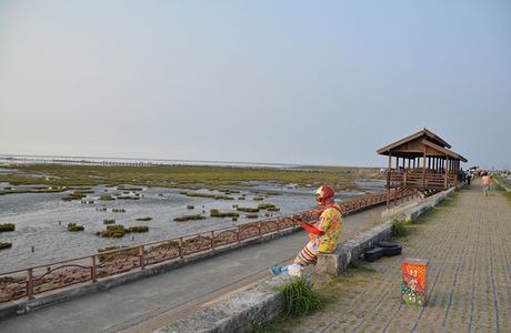 Gaomei Wetland