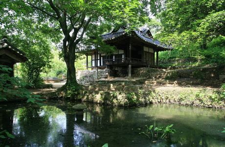 Jinyi Park