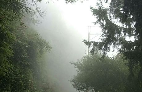 Dasyue Mountain Forest Recreation Area