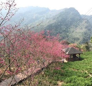 Muxinquan Leisure Farm