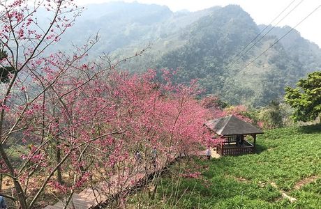 Muxinquan Leisure Farm