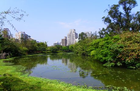 Daan Forest Park