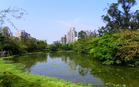 Daan Forest Park 1