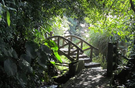Yangmingshan National Park