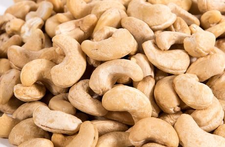 Cashew Nut Factory