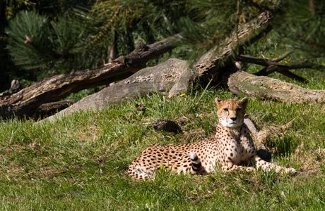 Zooparc Overloon