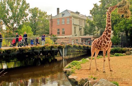 ARTIS Amsterdam Royal Zoo