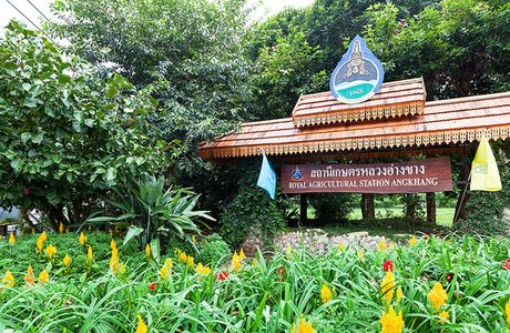 The Royal Agricultural Station Angkhang