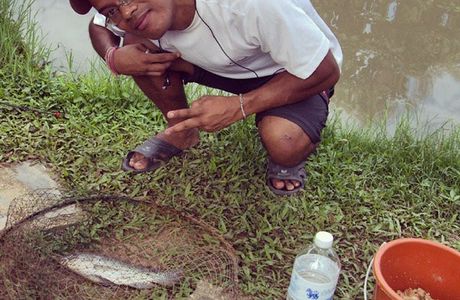 Pai Piranha Fishing Park