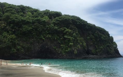 White Sand Beach 1