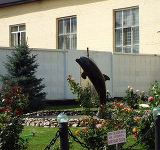 Black Dolphin Prison