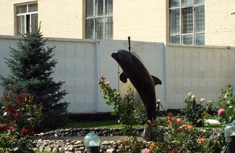 Black Dolphin Prison